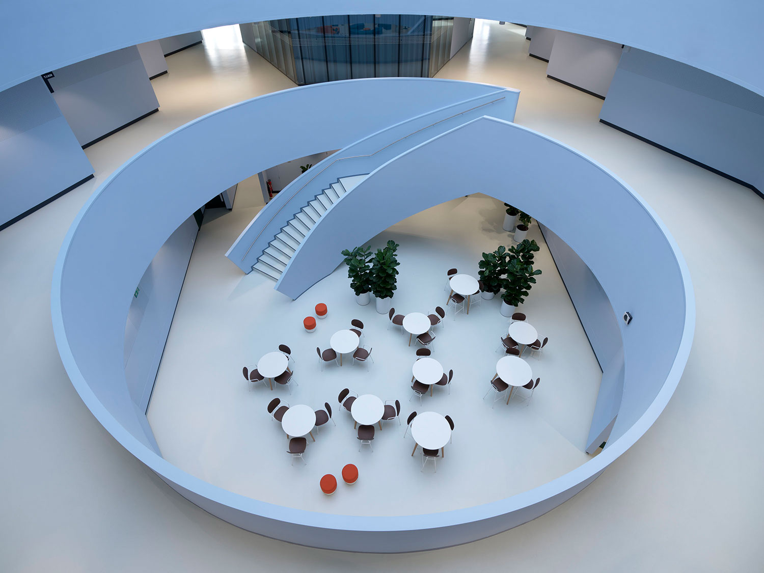 Hogeschool